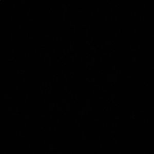 Meet your Posher, Maliyah